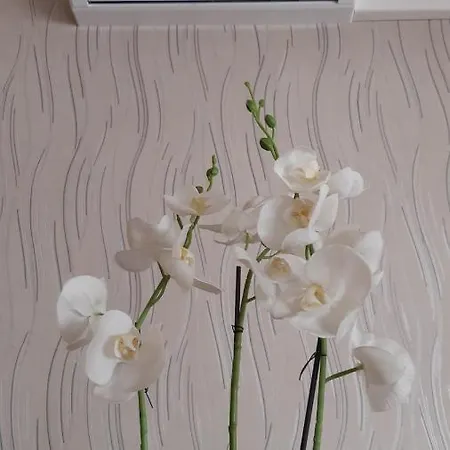 Apartament Relaxap